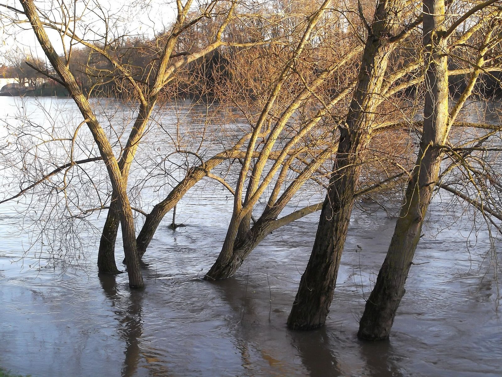 La Loire à Saint-Cyr-sur-Loire La Loire à Saint-Cyr-sur-Loire