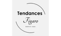 Logo Tendances Figaro — partenaire d'Aide Numérique 37